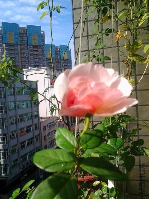 2013-08-07 08.27.54.jpg