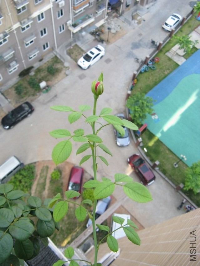 KT002.jpg
