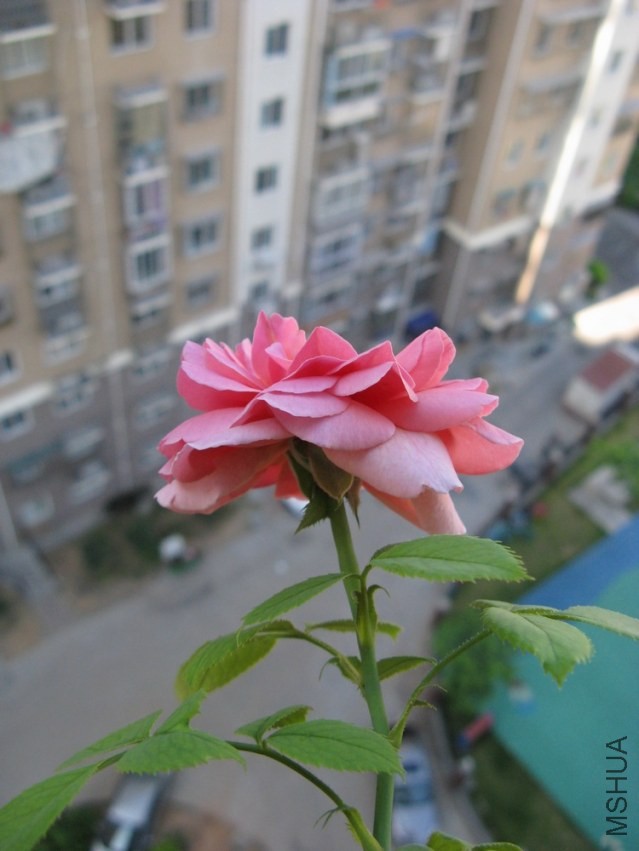 KT007.jpg