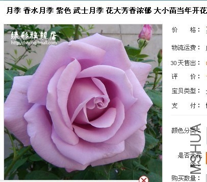 QQͼƬ20130807112616.jpg