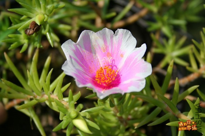 ��Ƭ 062_����.jpg