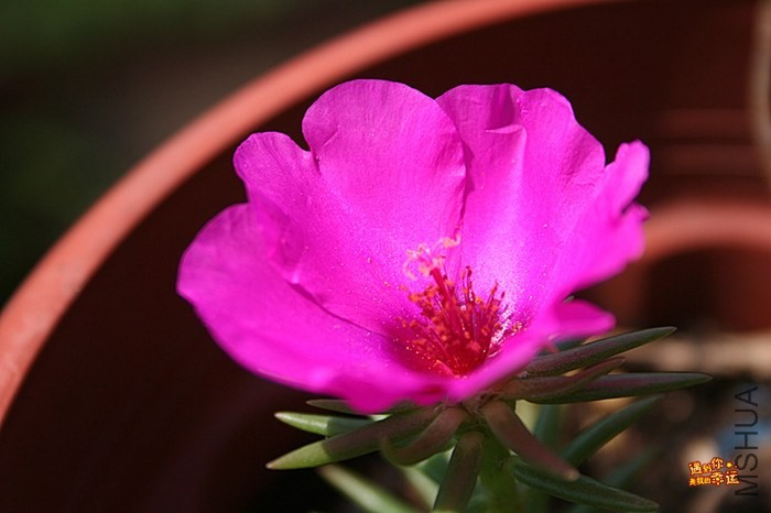 ��Ƭ 064_����.jpg