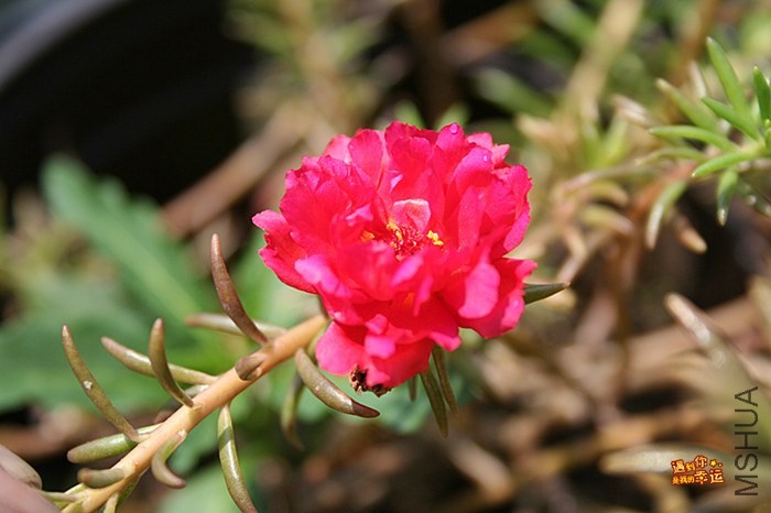 ��Ƭ 070_����.jpg