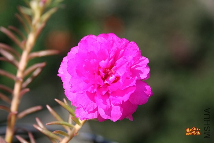 ��Ƭ 071_����.jpg