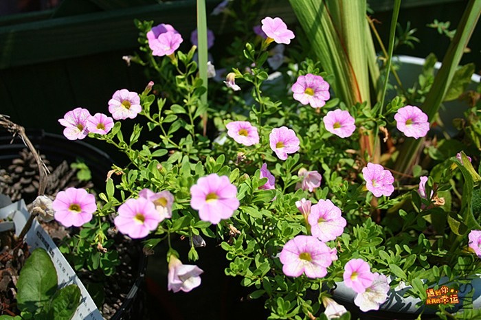 ��Ƭ 077_����.jpg