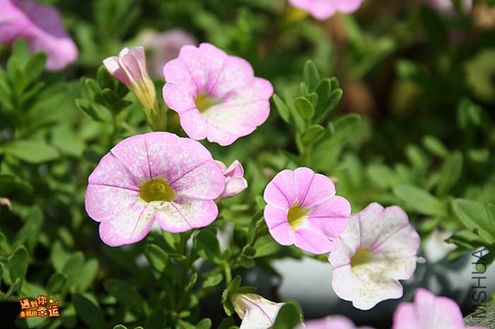 ��Ƭ 080_����.jpg