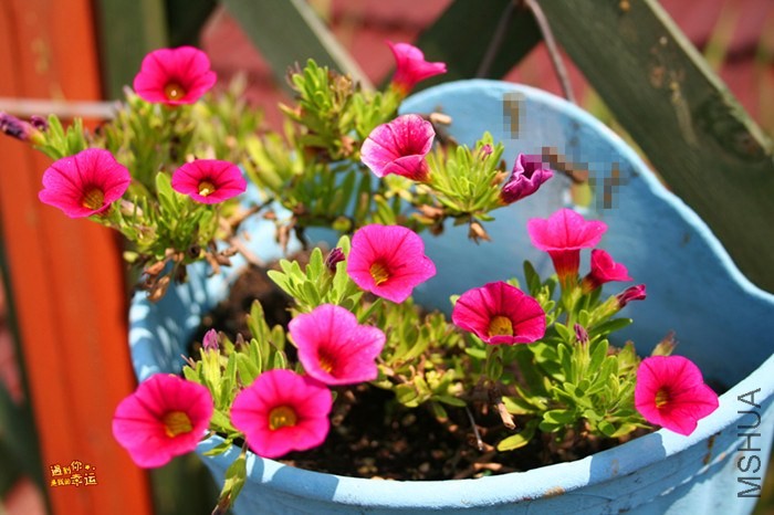 ��Ƭ 089_����.jpg