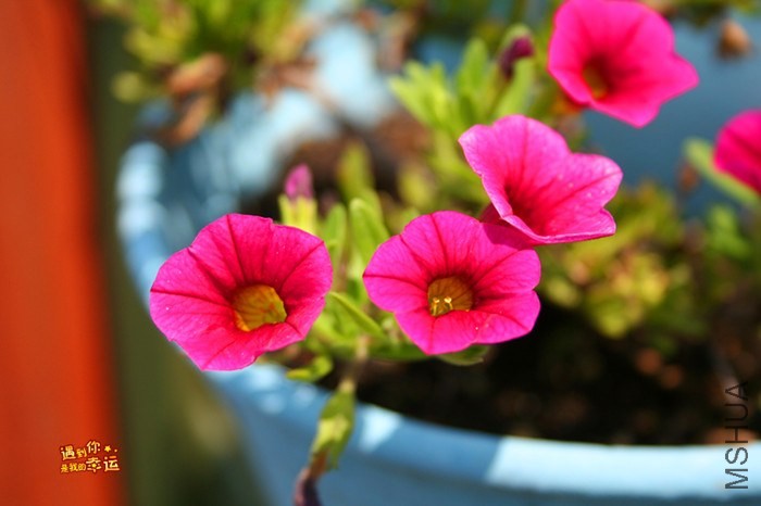 ��Ƭ 091_����.jpg