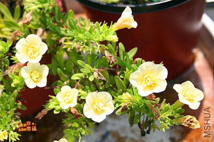 ��Ƭ 092_����.jpg