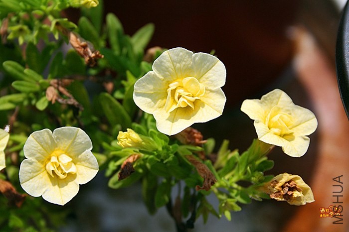 ��Ƭ 095_����.jpg