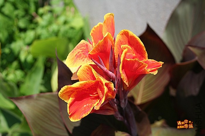 ��Ƭ 103_����.jpg