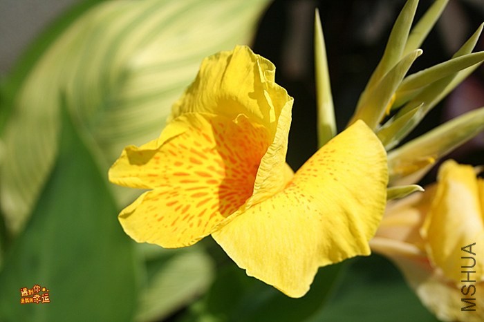 ��Ƭ 105_����.jpg