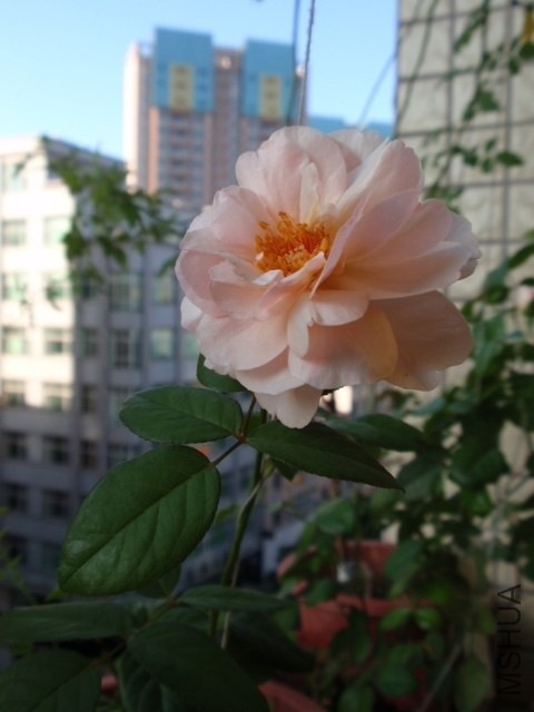 P1111135.JPG
