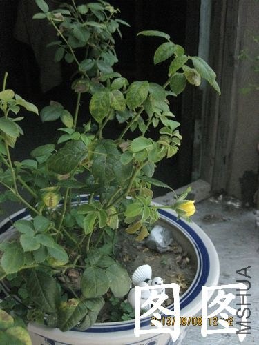 ��Ƭ 019.jpg