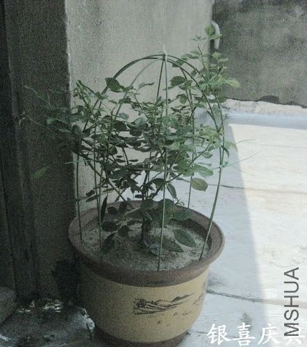 ��Ƭ 017.jpg
