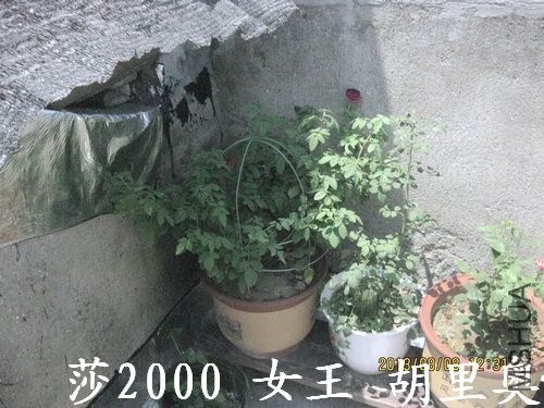 ��Ƭ 014.jpg