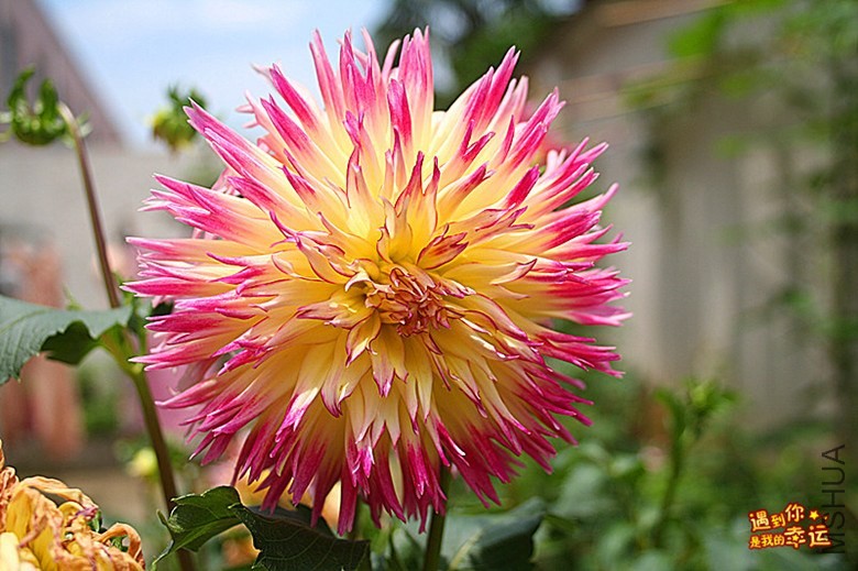 ��Ƭ 019_����_����.jpg