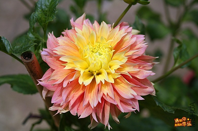 ��Ƭ 016_����.jpg