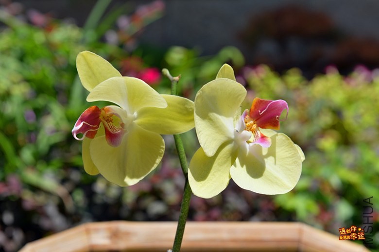 ��Ƭ 014_����.jpg