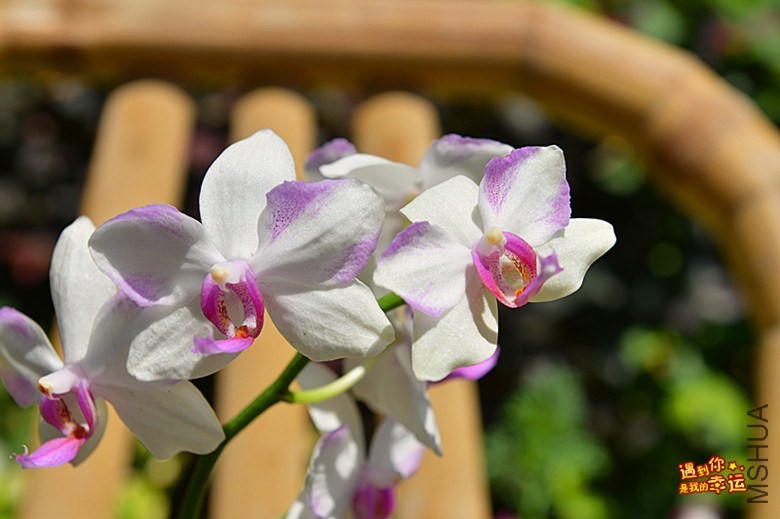 ��Ƭ 018_����.jpg