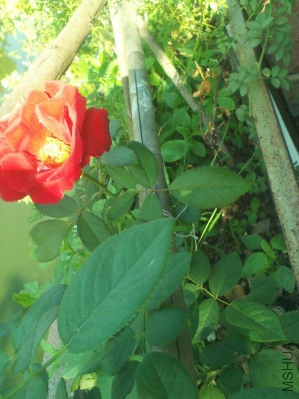 �ͻ���ĸо�