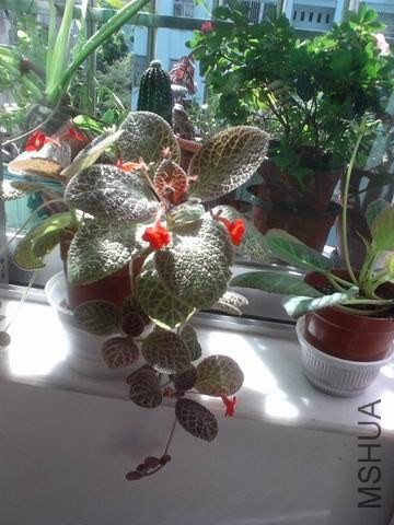 ������С 2013-08-04_09-25-12_901.jpg