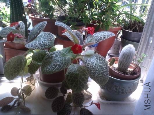 ������С 2013-08-09_11-13-25_926.jpg