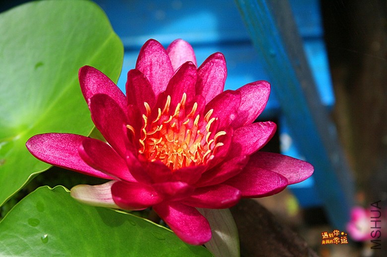 ��Ƭ 011_����.jpg