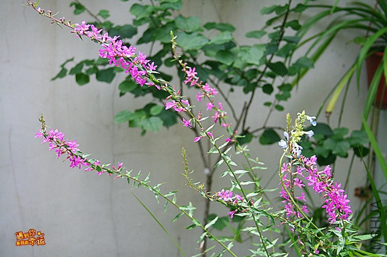 ��Ƭ 025_����.jpg