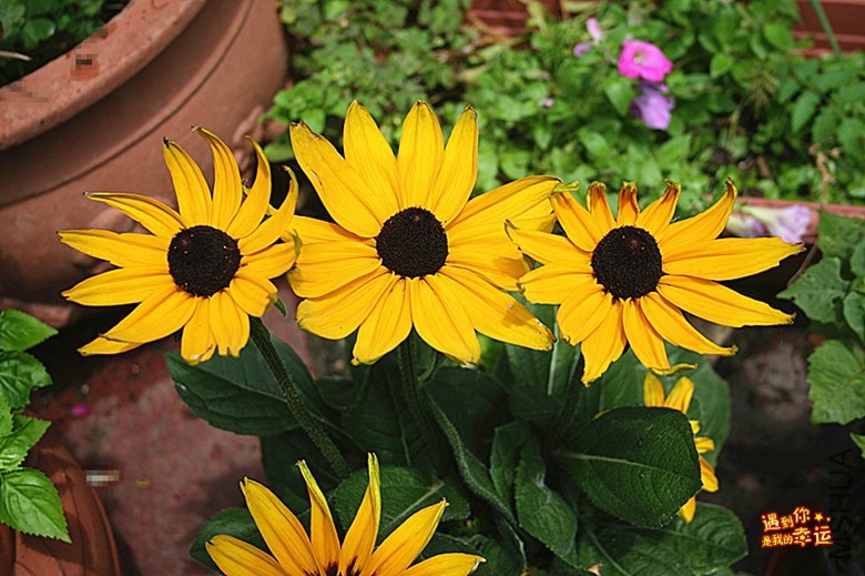 ��Ƭ 029_����.jpg