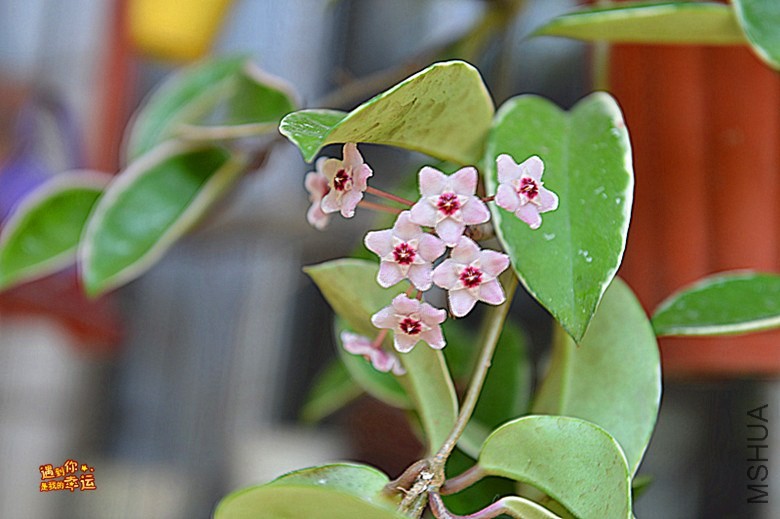 ��Ƭ 020_����.jpg