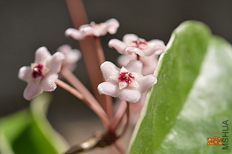 ��Ƭ 021_����.jpg