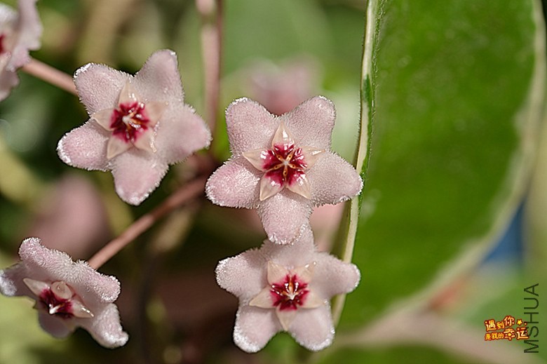 ��Ƭ 022_����.jpg