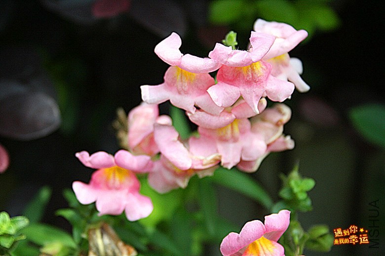 ��Ƭ 033_����.jpg