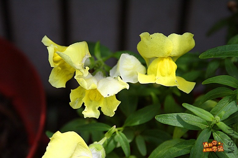 ��Ƭ 034_����.jpg