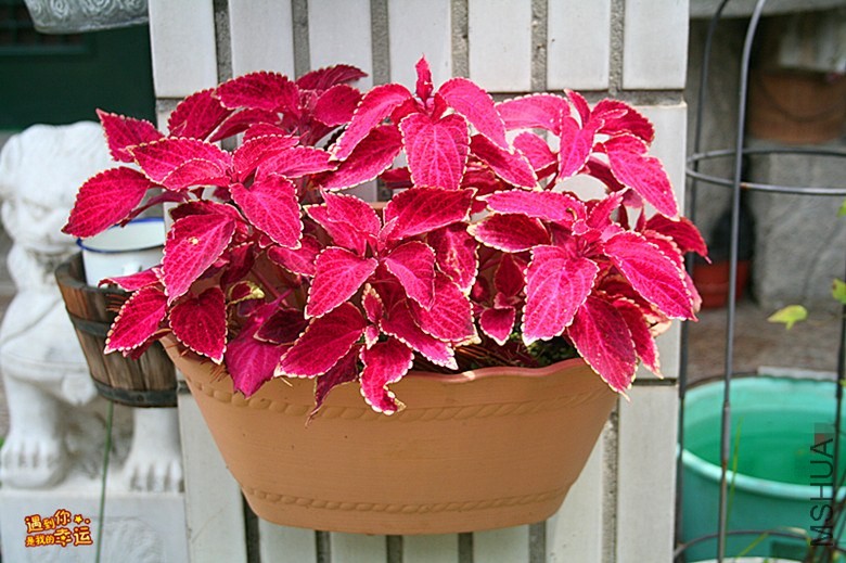 ��Ƭ 036_����.jpg