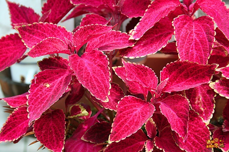 ��Ƭ 039_����.jpg