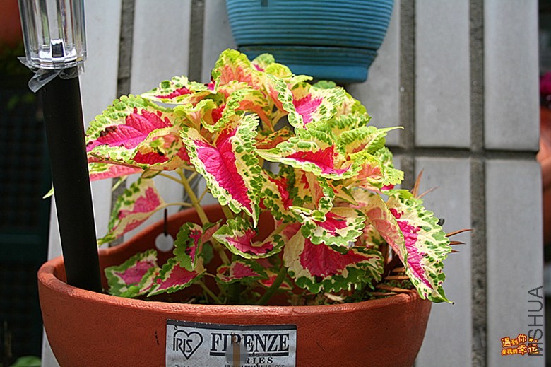 ��Ƭ 040_����.jpg