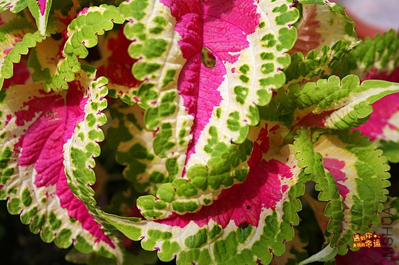 ��Ƭ 042_����.jpg