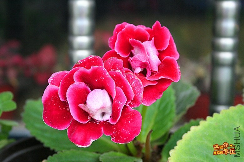 ��Ƭ 048_����.jpg