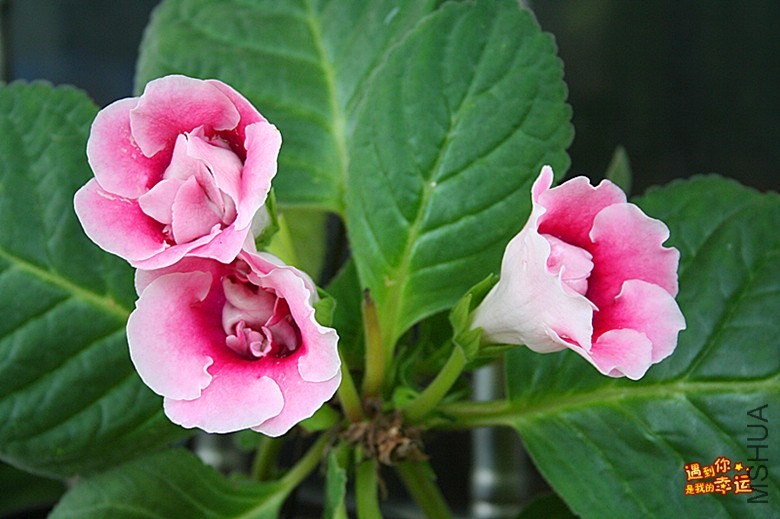 ��Ƭ 044_����.jpg