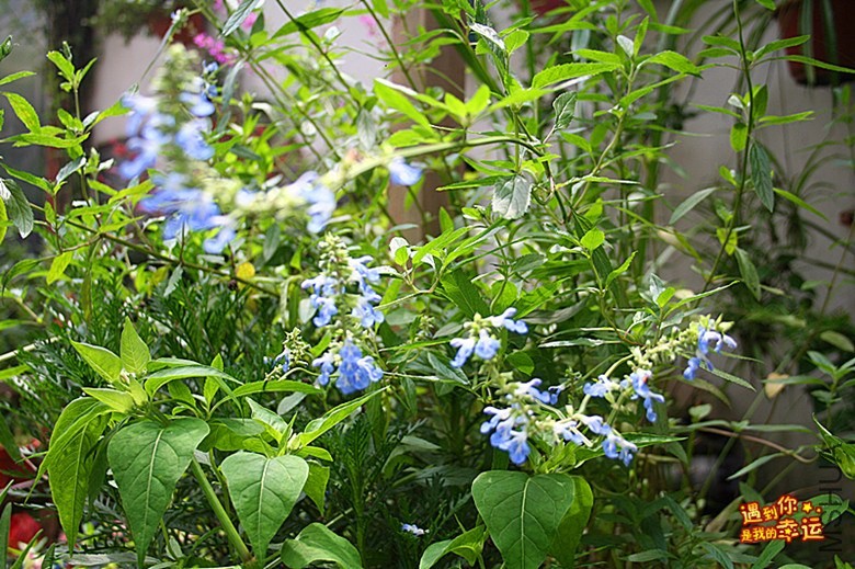 ��Ƭ 020_����.jpg