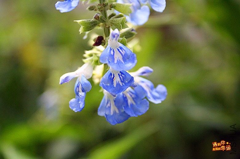 ��Ƭ 024_����.jpg