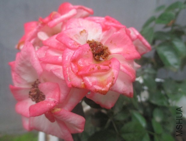 QQ��ͼ20130810213603.jpg