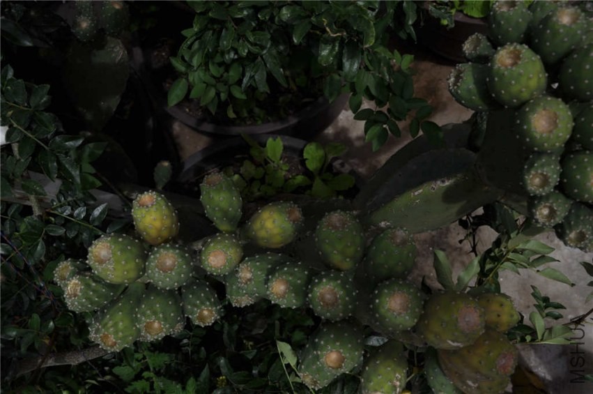 ����½��������