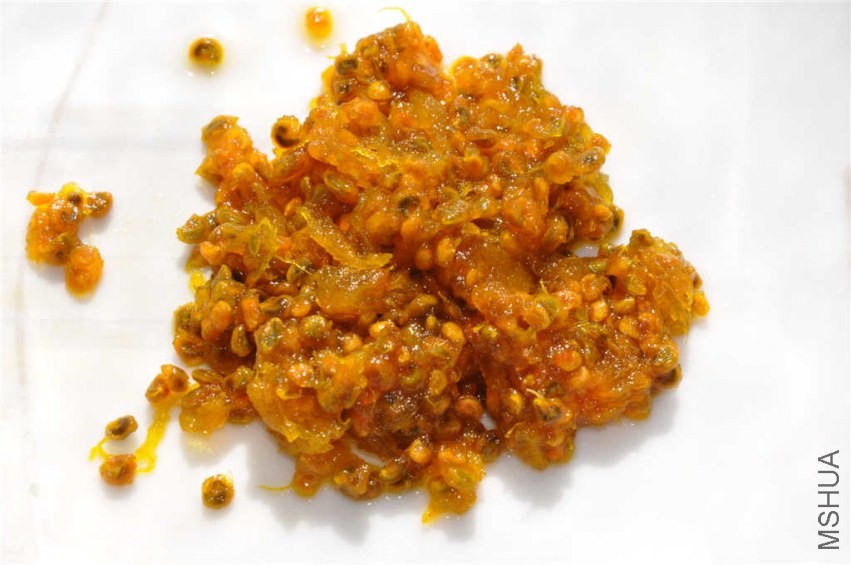 ���ӣ���ֱ���ӵ�