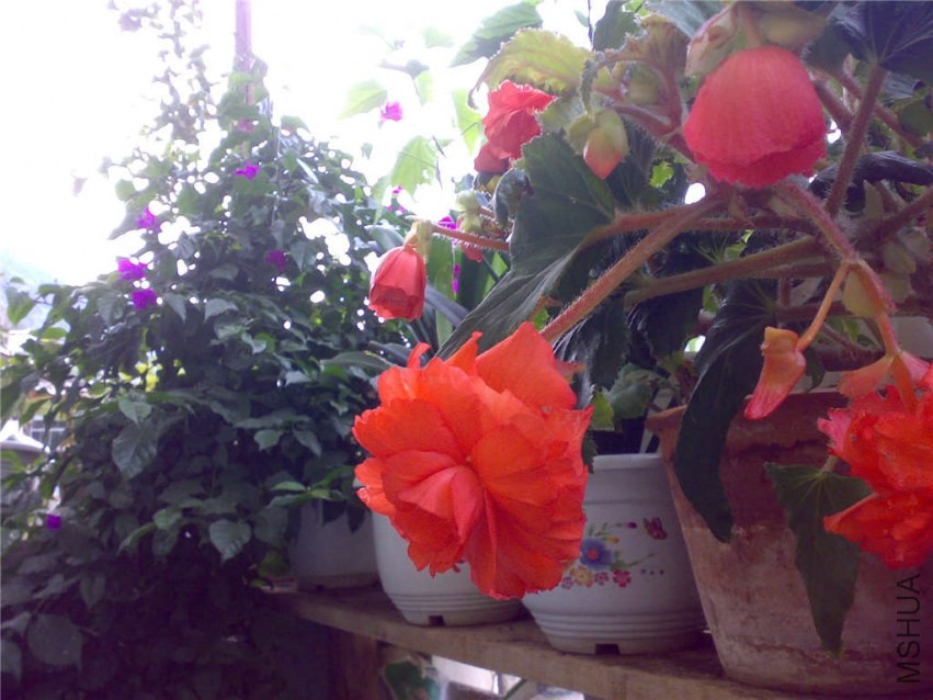 20070910003.jpg