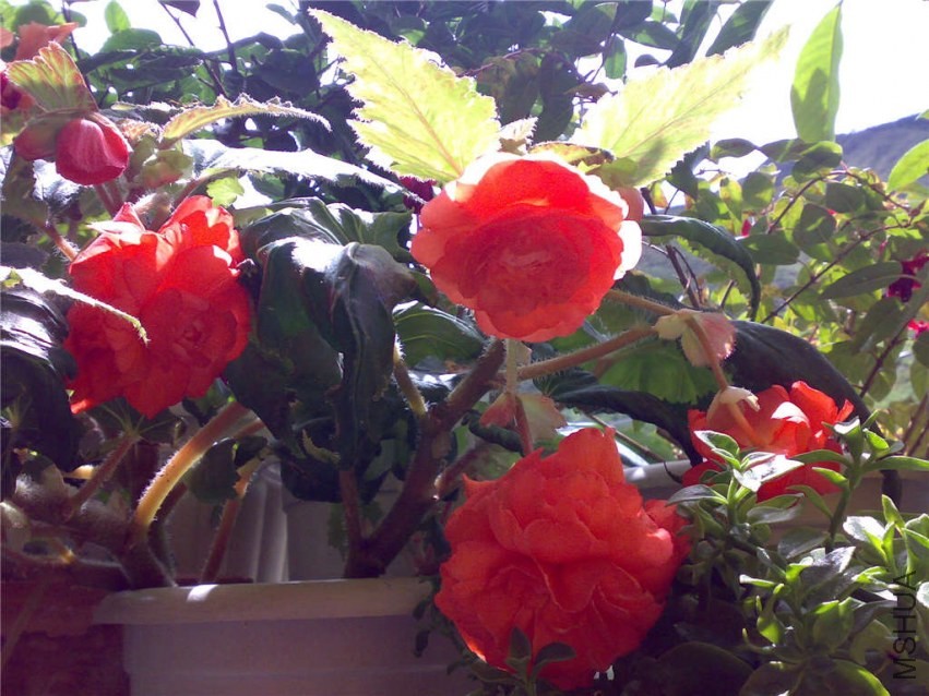 20070910015.jpg