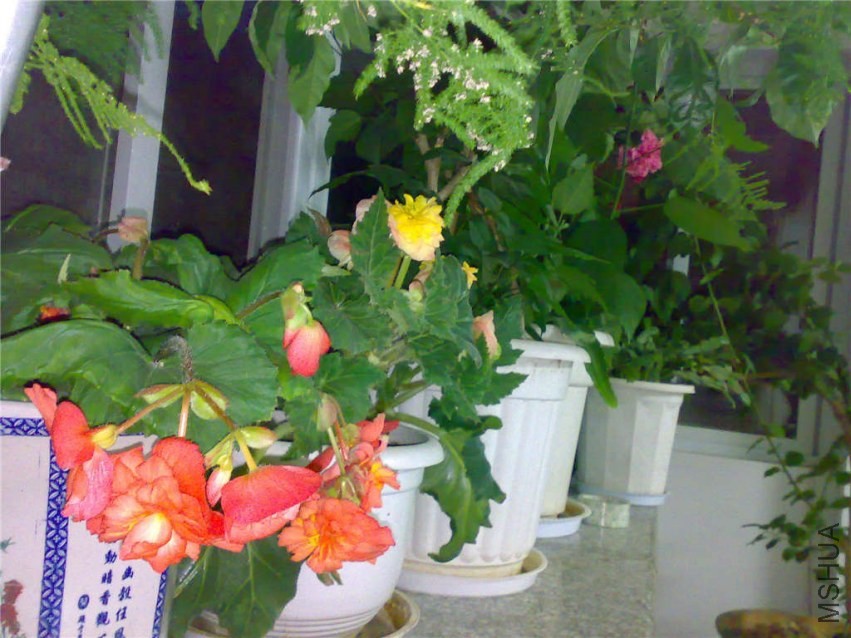 20090904021.jpg