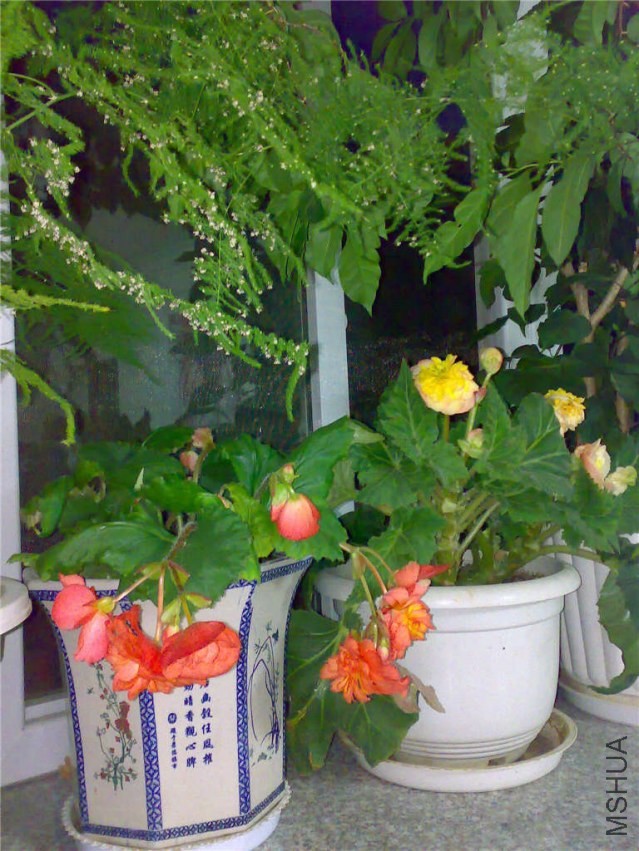 20090904022.jpg